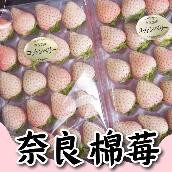 頂級奈良新品種<棉莓>爆香上市 