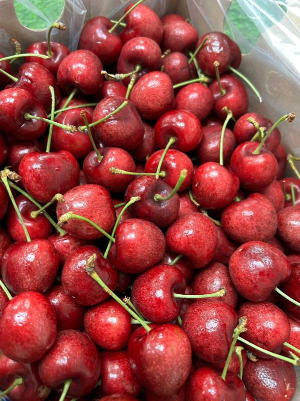 ＜少量零購＞搶鮮-智利櫻桃 