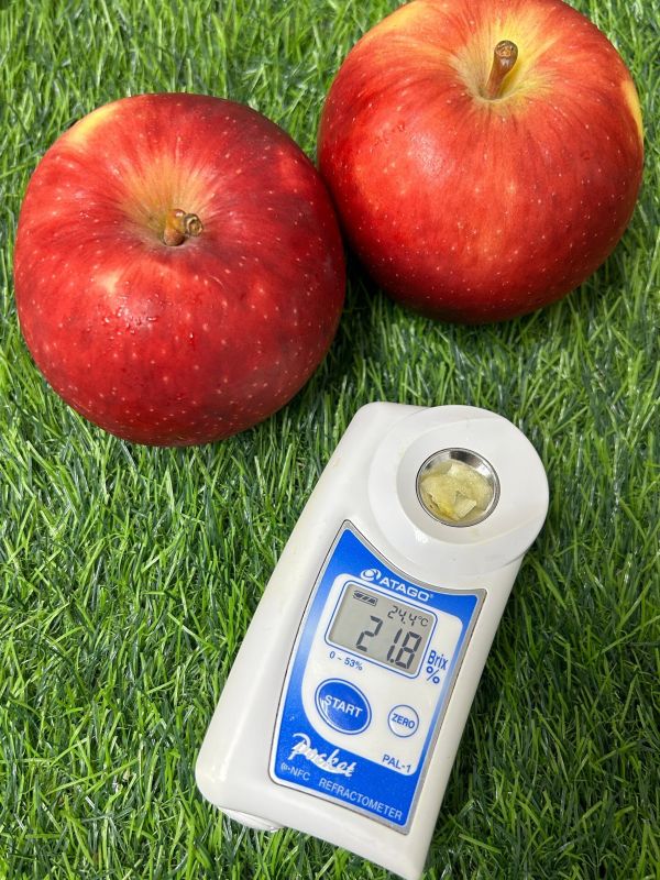 紐西蘭【Dazzel閃耀】脆甜蘋果 