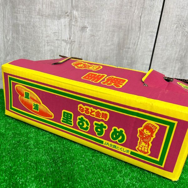 日本德島栗子地瓜 