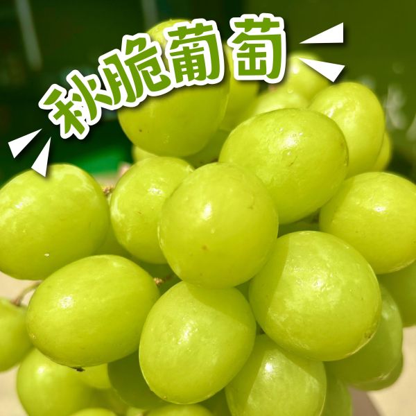 <少量零購>熊本草莓/秋脆 