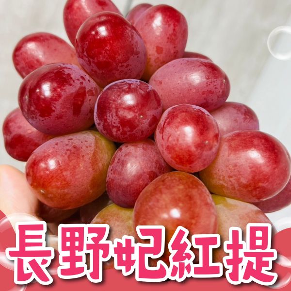 日本長野妃紅緹紅葡萄 