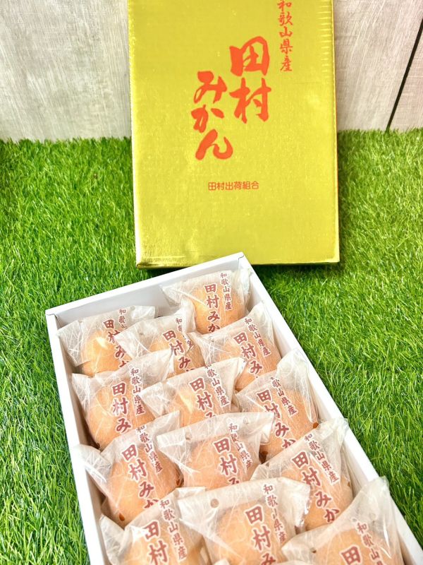 和歌山田村蜜柑 