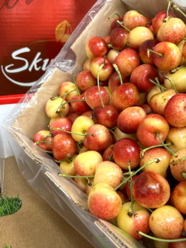 【限量稀有】智利草莓白櫻桃 