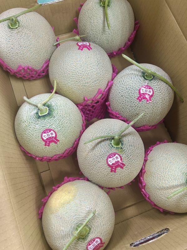 七股香紅肉哈密瓜 