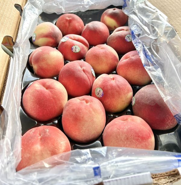 <當日配送>智利水蜜桃 