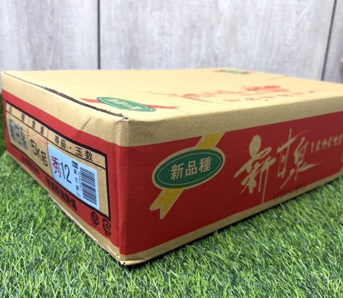 日本新甘泉水梨 