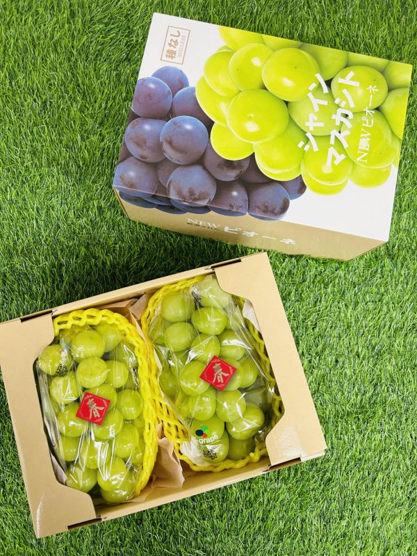 <年節禮盒>S051韓國麝香禮盒 