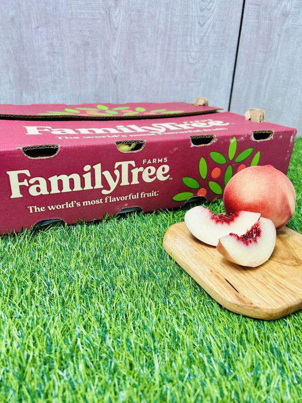Family Tree加州水蜜桃【24/25規】 