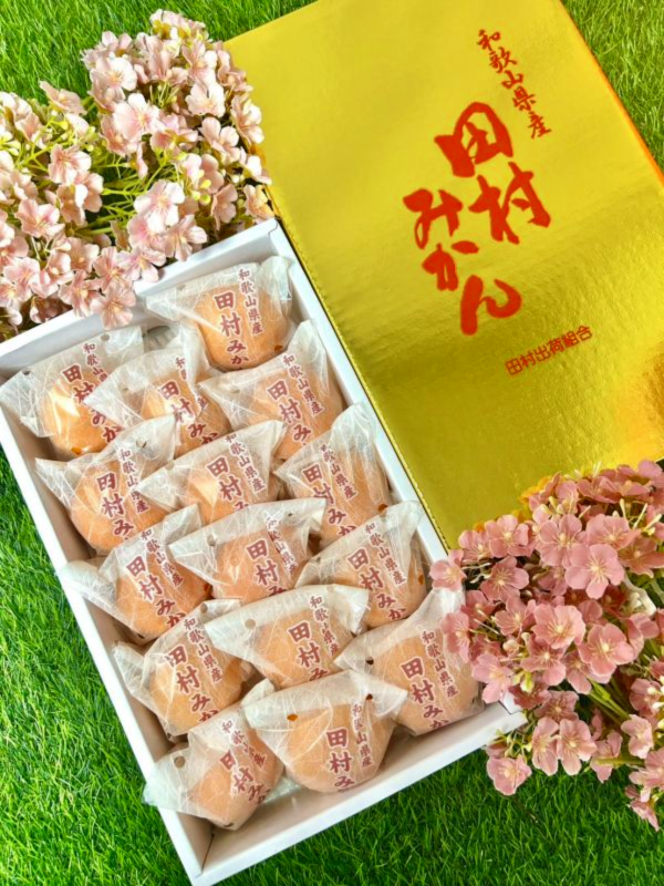 和歌山田村蜜柑 