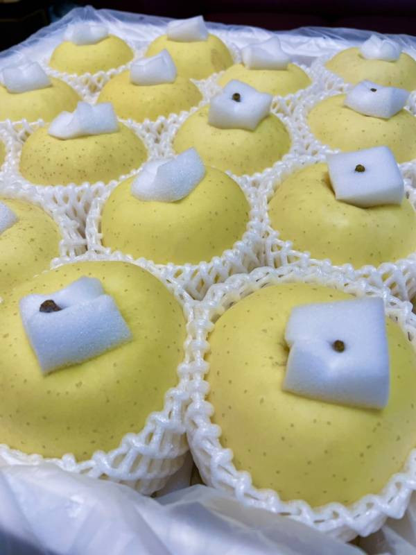 【26規】日本青森金星牛奶蘋果 