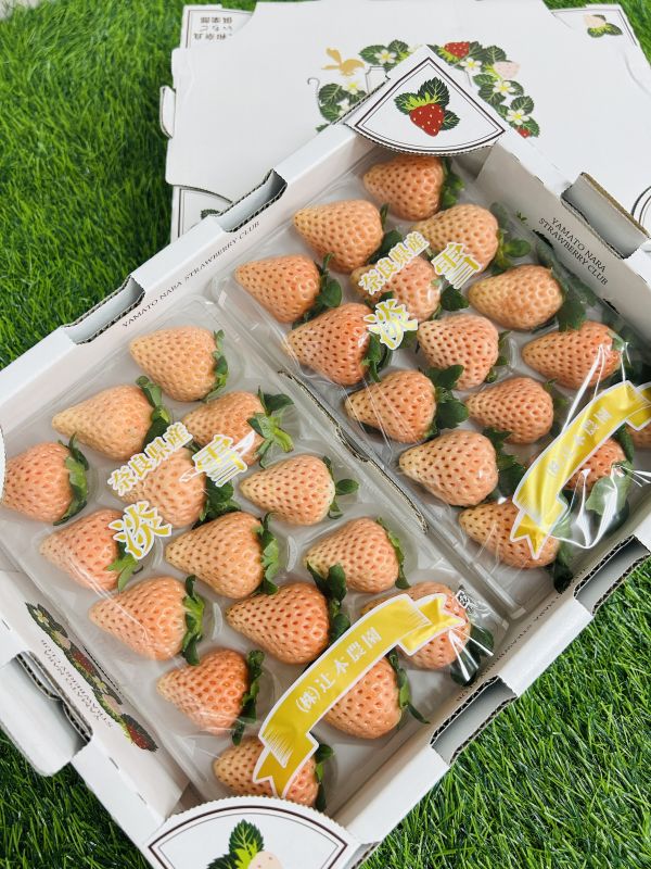 日本奈良淡雪草莓 