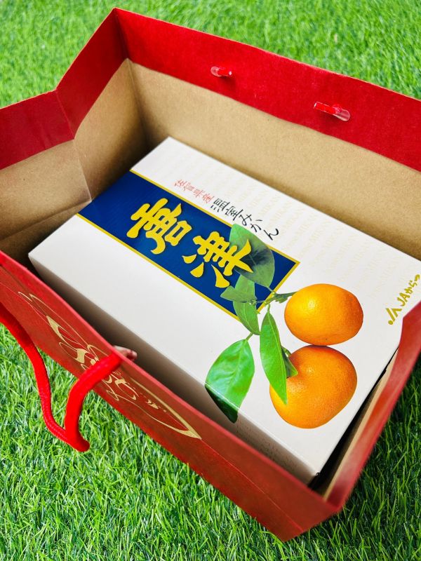 就柑心~日本唐津蜜柑禮盒 