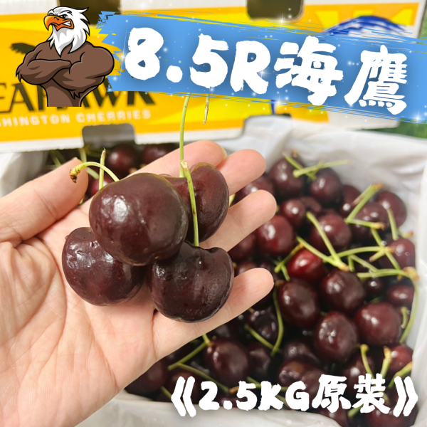 【8.5R海鷹櫻桃】(2.5公斤原裝) 