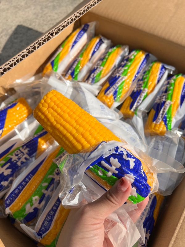 日本青森水果玉米【嶽きみ】 
