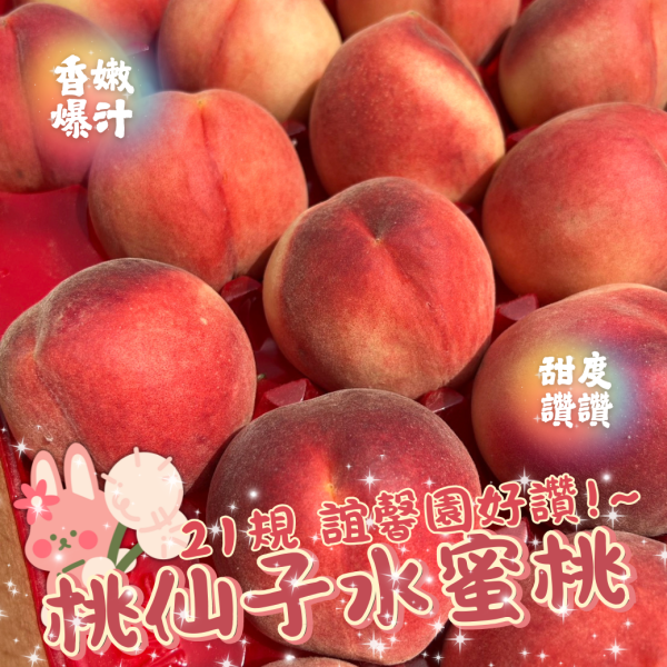誼馨園桃仙子水蜜桃 