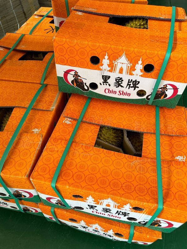 泰國黑象牌榴槤 