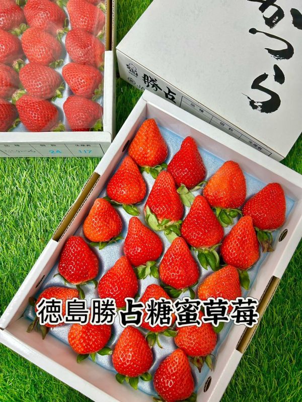 日本德島勝占糖蜜草莓 