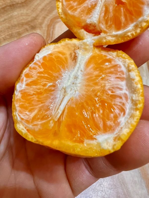 爆甜多汁南非砂糖橘 