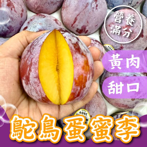 加州蜜李鴕鳥蛋 