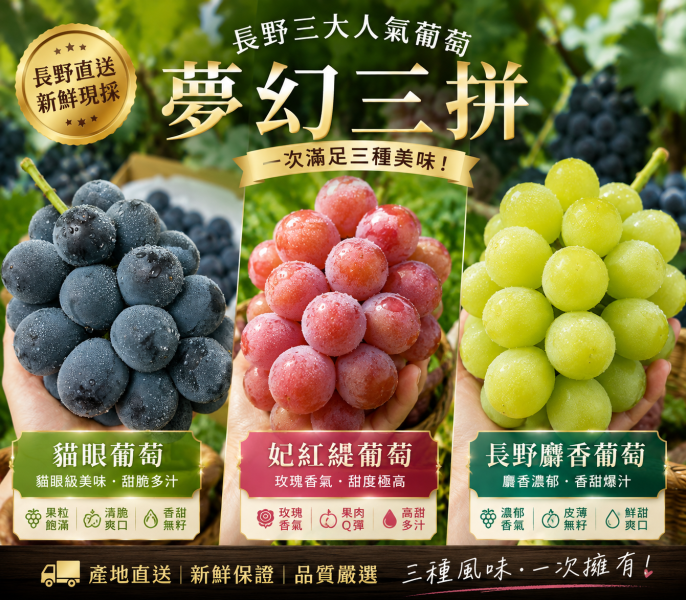 日本葡萄夢幻三拼 
