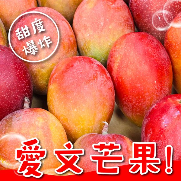 屏東枋寮愛文芒果(大果) 