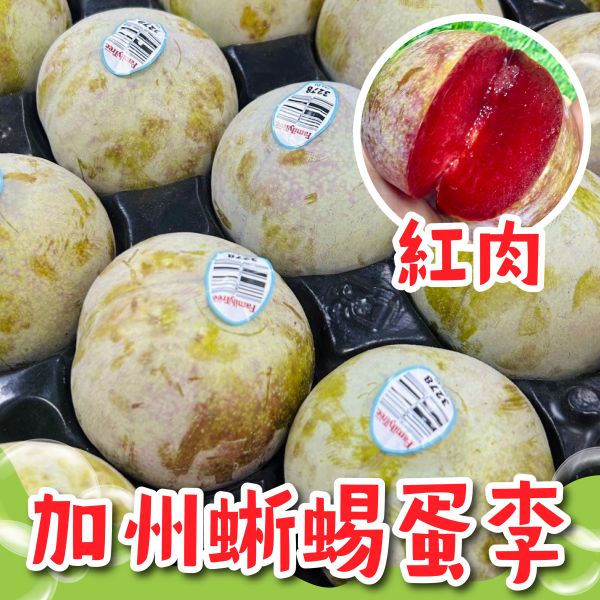 加州蜜李蜥蜴蛋 