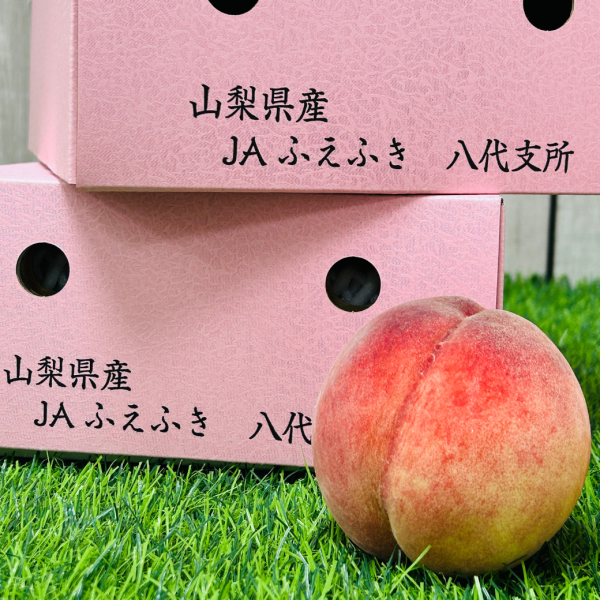 【高級溫室桃】一桃匠水蜜桃 