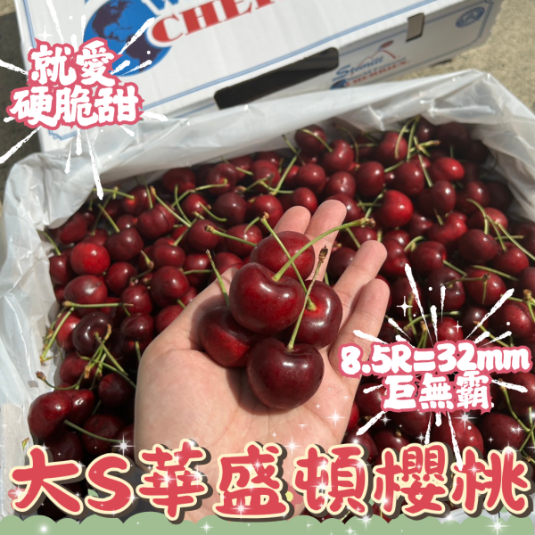 8.5R【大S】華盛頓櫻桃 