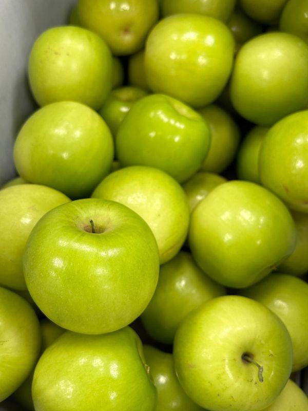 <少量零購>珍蜜蜜棗 