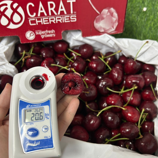 【8R巨無霸2.5公斤原裝】華盛頓櫻桃 