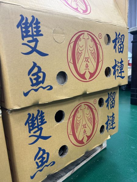 【正宗雙魚】金枕頭榴槤 
