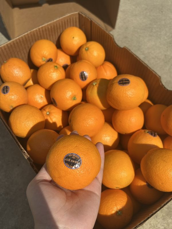 <少量零購>【AIR SWEET】美國加州肚臍橙 