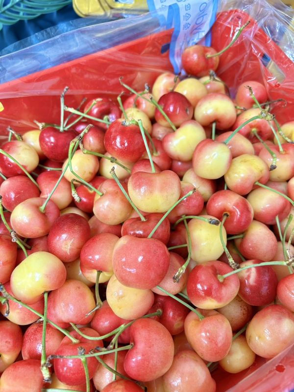 <少量零購>智利白櫻桃 