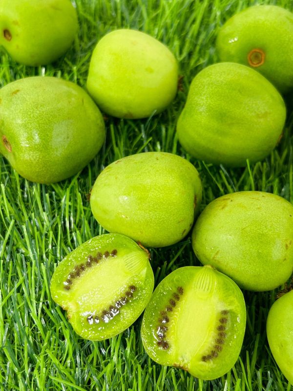 <少量零購>寶貝奇異果/蓮霧/櫻桃李 