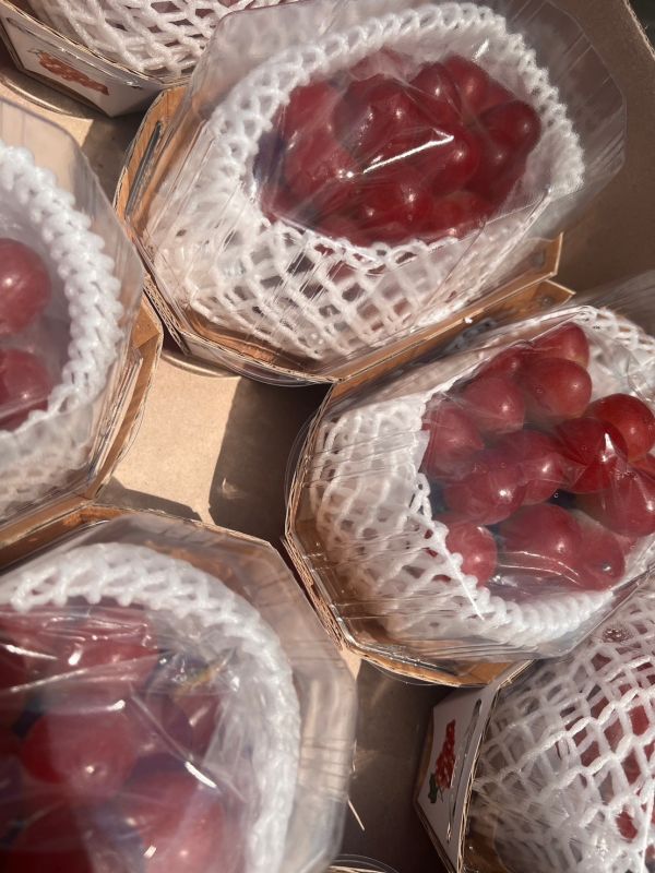 <少量零購>韓國紅麝香葡萄 