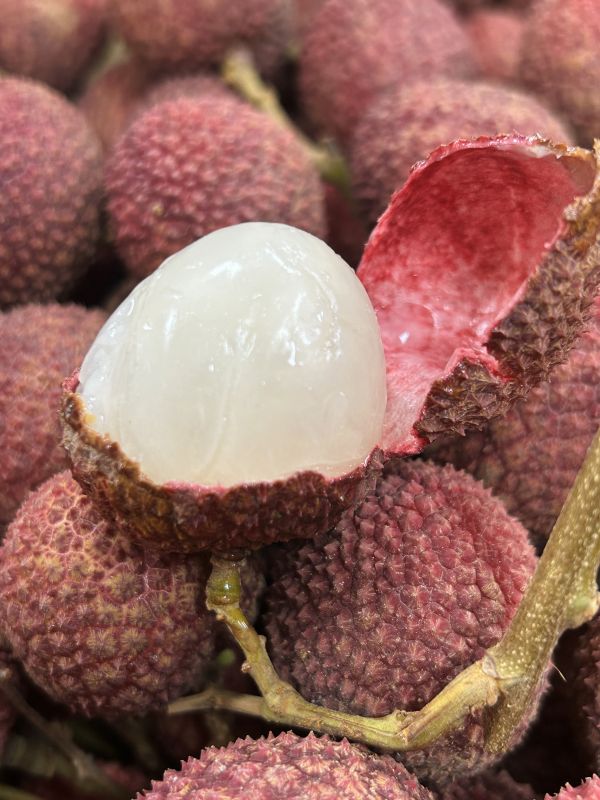 <少量零購>艷麗荔枝 