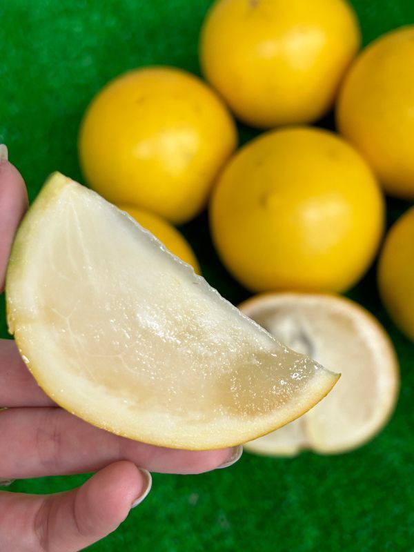 膠原蛋白黃金果 