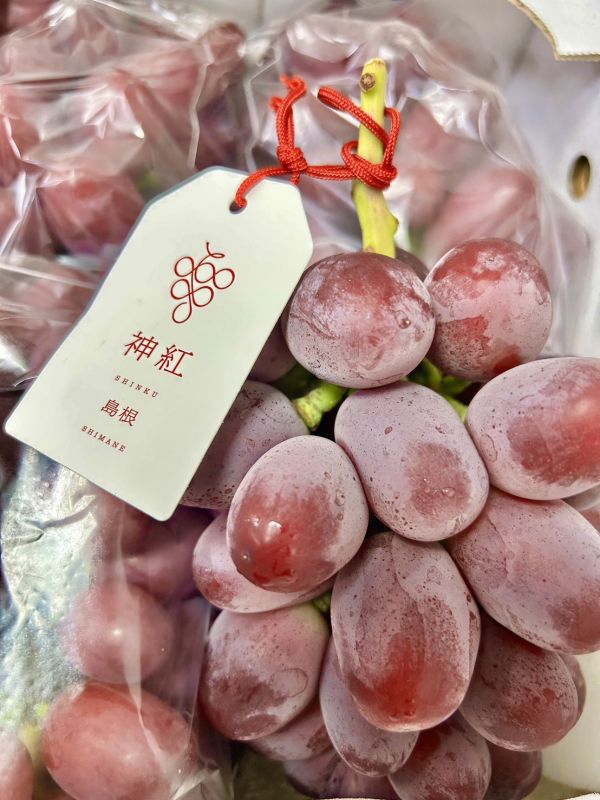 日本島根神紅葡萄 