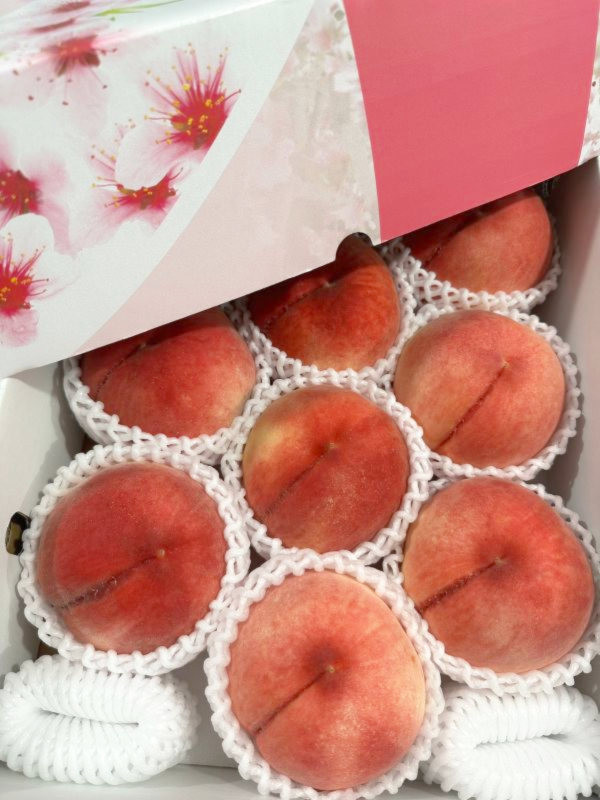 <少量零購>和歌山水蜜桃 