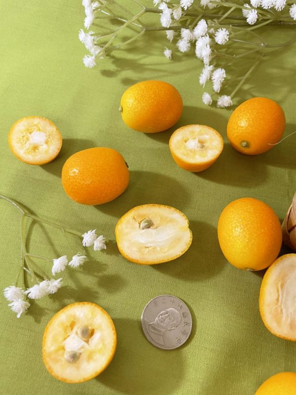 <少量零購>日本宮崎縣金桔 