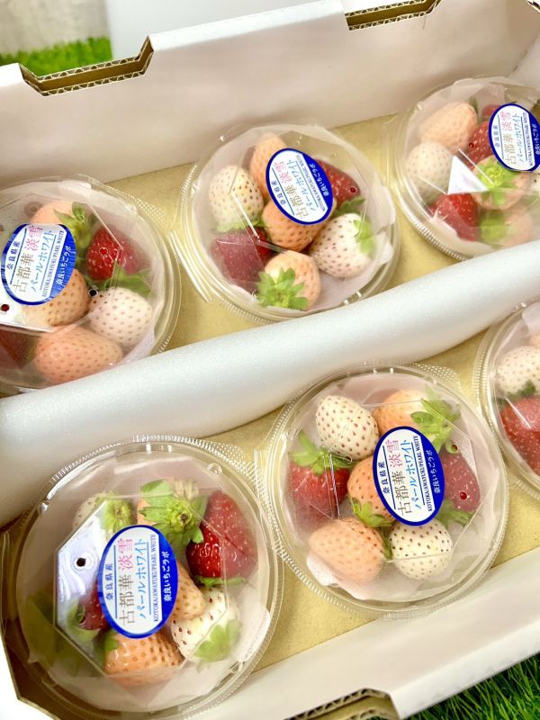 日本三色草莓小圓盒 