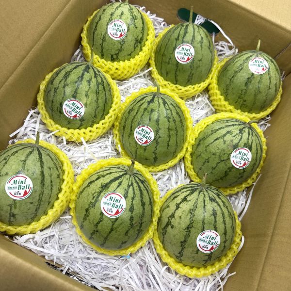 <少量零購>掌心西瓜 