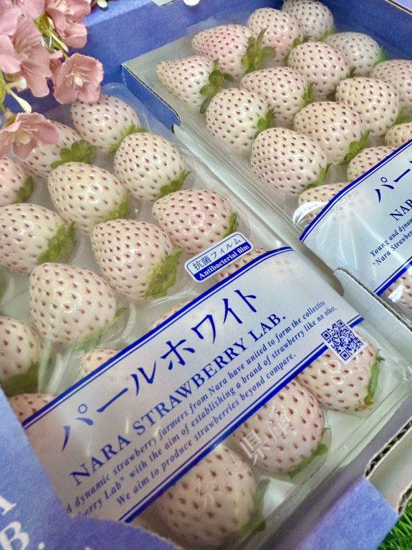 日本奈良白珍珠草莓 