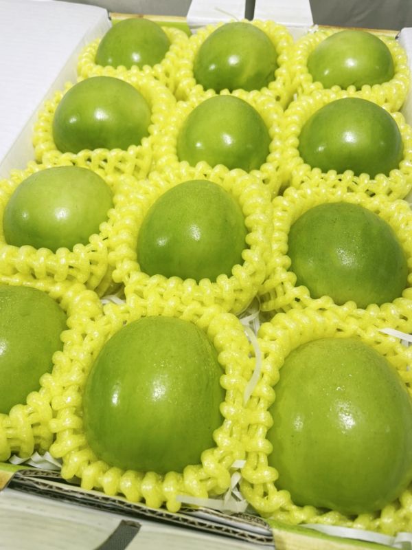 <精緻禮盒>S027棗想團圓手提禮 