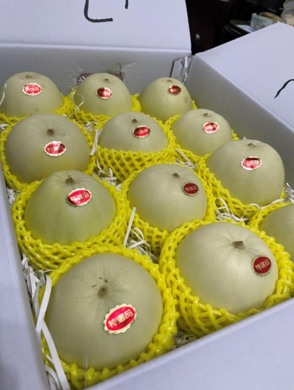 【巨大果】溫室美濃香瓜 