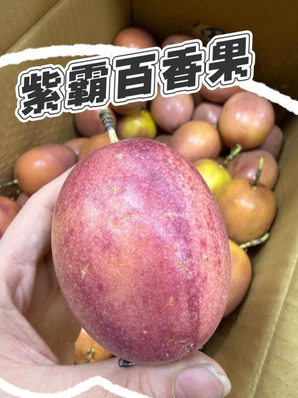 紫霸百香果 