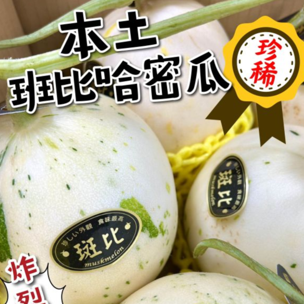 本土斑比哈密瓜 