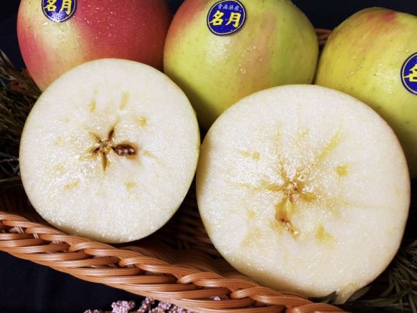 <少量零購>青森名月蜜蘋果 