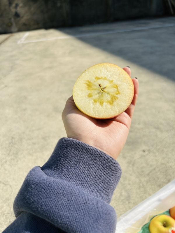 【40規】日本青森黃金糖蜜蘋果 